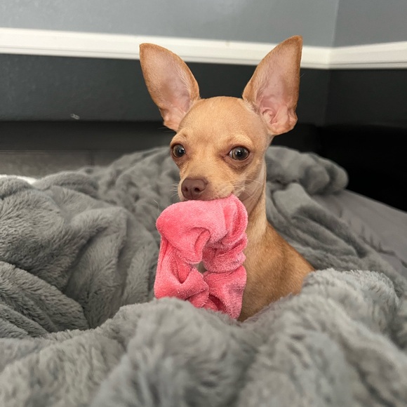 Meet your Posher, Mandi - Picture 3 of 6